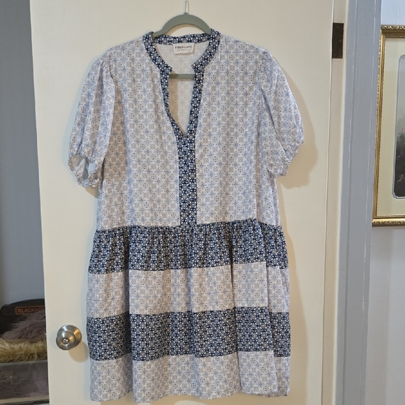 First Love Dresses & Skirts - First Love Blue and White Mini Dress